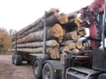 GRUME CAMION DE 50M3 EN HÊTRE – Image 3