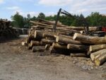Camion de 20m3, Hêtre Chêne Charme en grume – Image 3